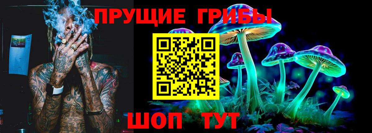 Калининград  Псилоцибиновые грибы MAGIC MUSHROOMS  Вход с VPN 